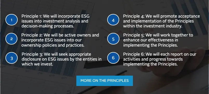 ESG Initiatives And Reporting
